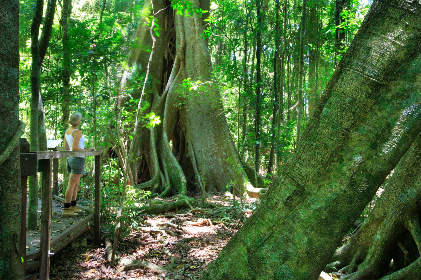 Booroobin QLD Accommodation Mount Tamborine