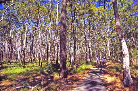 Moogerah Peaks National Park - Accommodation Mount Tamborine 1