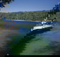 Naree Budjong Djara National Park - Accommodation Mount Tamborine