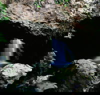 Natural Bridge Circuit Springbrook National Park - Accommodation Mount Tamborine