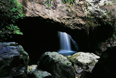 Natural Bridge Circuit, Springbrook National Park - Accommodation Mount Tamborine 0