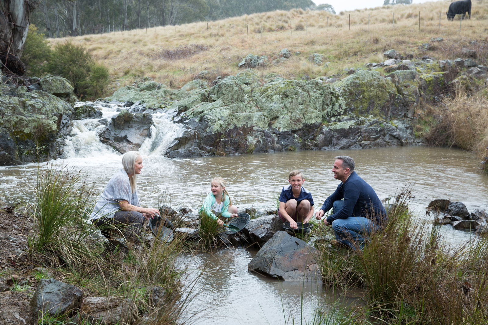 Warral NSW Accommodation Mount Tamborine