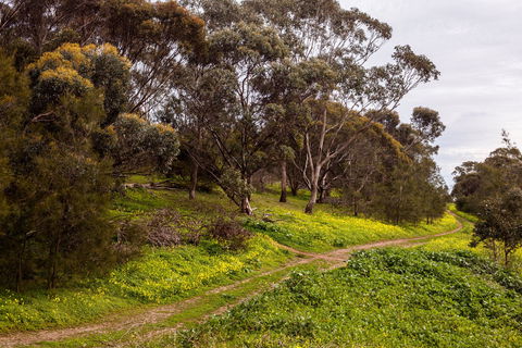 O'Halloran Hill Recreation Park - Accommodation Mount Tamborine 1
