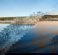 Pattimores Lagoon - Accommodation Mount Tamborine