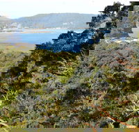 Patonga to Pearl Beach Walking Track - Accommodation Mount Tamborine