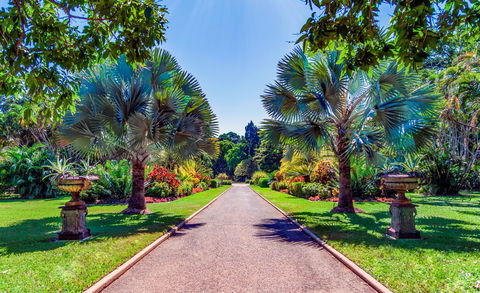 Queens Gardens - Accommodation Mount Tamborine 1
