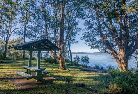 Queens Lake Picnic Area - Accommodation Mount Tamborine 0