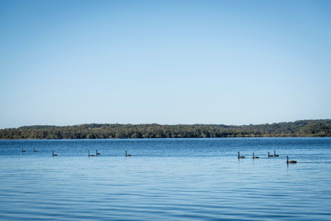 Queens Lake Picnic Area - Accommodation Mount Tamborine 1