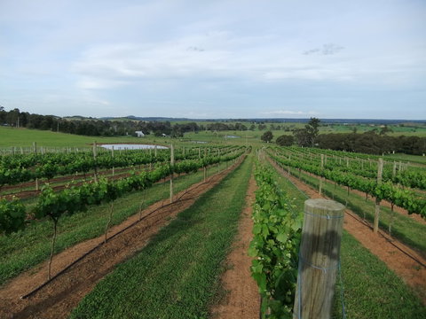 Razorback, Cawdor, Camden Park - Accommodation Mount Tamborine 0