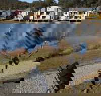 Sculpture Trail at Lake Crackenback Resort and Spa - Accommodation Mount Tamborine