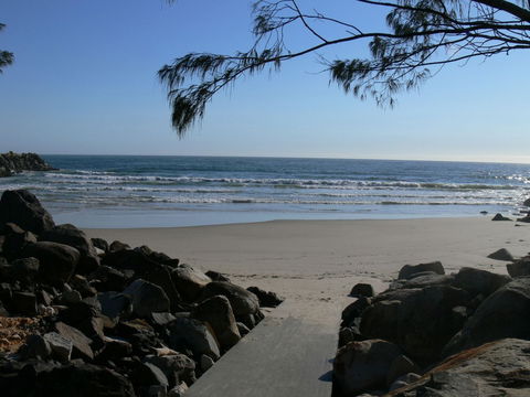 Shark Bay - Accommodation Mount Tamborine 0