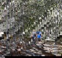 Six Mile Creek Bluff Lookout and Little White Rock Trails - Accommodation Mount Tamborine