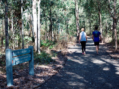 Six Mile Creek, Bluff Lookout And Little White Rock Trails - Accommodation Mount Tamborine 2