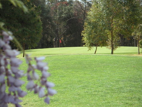 Springwood Country Club - Accommodation Mount Tamborine 0