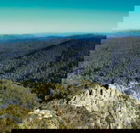 Tapin Tops National Park - Accommodation Mount Tamborine