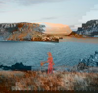 The Nut - Accommodation Mount Tamborine