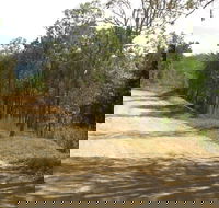The Bloomfield Track - Accommodation Mount Tamborine