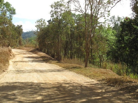 The Bloomfield Track - Accommodation Mount Tamborine 0