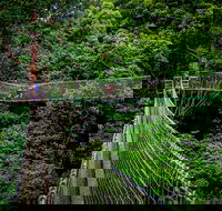 Thunderbird Park  - Tamborine Mountain Gold Coast Region - Accommodation Mount Tamborine