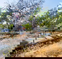 Timber Creek - Accommodation Mount Tamborine