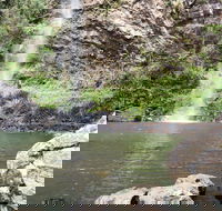 Twin Falls Circuit Springbrook National Park - Accommodation Mount Tamborine