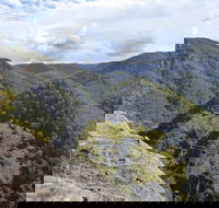 Vale of Avoca - Accommodation Mount Tamborine
