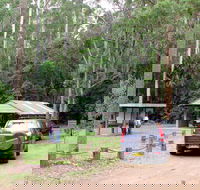Wallingat Forest Drive - Accommodation Mount Tamborine