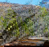 Weddin Gap to Black Spring Loop Trail - Accommodation Mount Tamborine