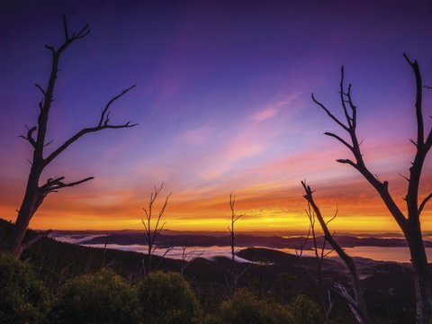 Wellington Park - Accommodation Mount Tamborine 2