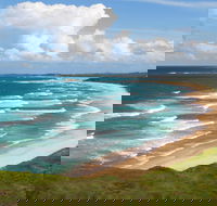 Woolgoolga Beach and Headland - Accommodation Mount Tamborine