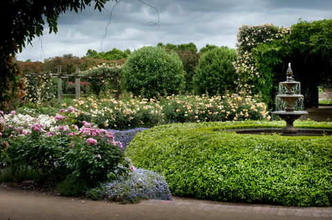 Alowyn Gardens And Nursery - Accommodation Mount Tamborine 1
