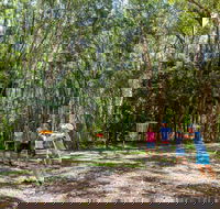 Ballina Disc Golf - Accommodation Mount Tamborine
