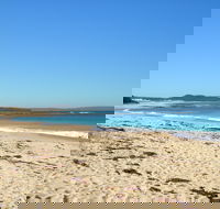 Berrara - Accommodation Mount Tamborine