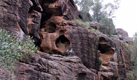 Bertha's Gully Walking Track - Accommodation Mount Tamborine 0