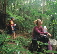 Binna Burra Lamington National Park