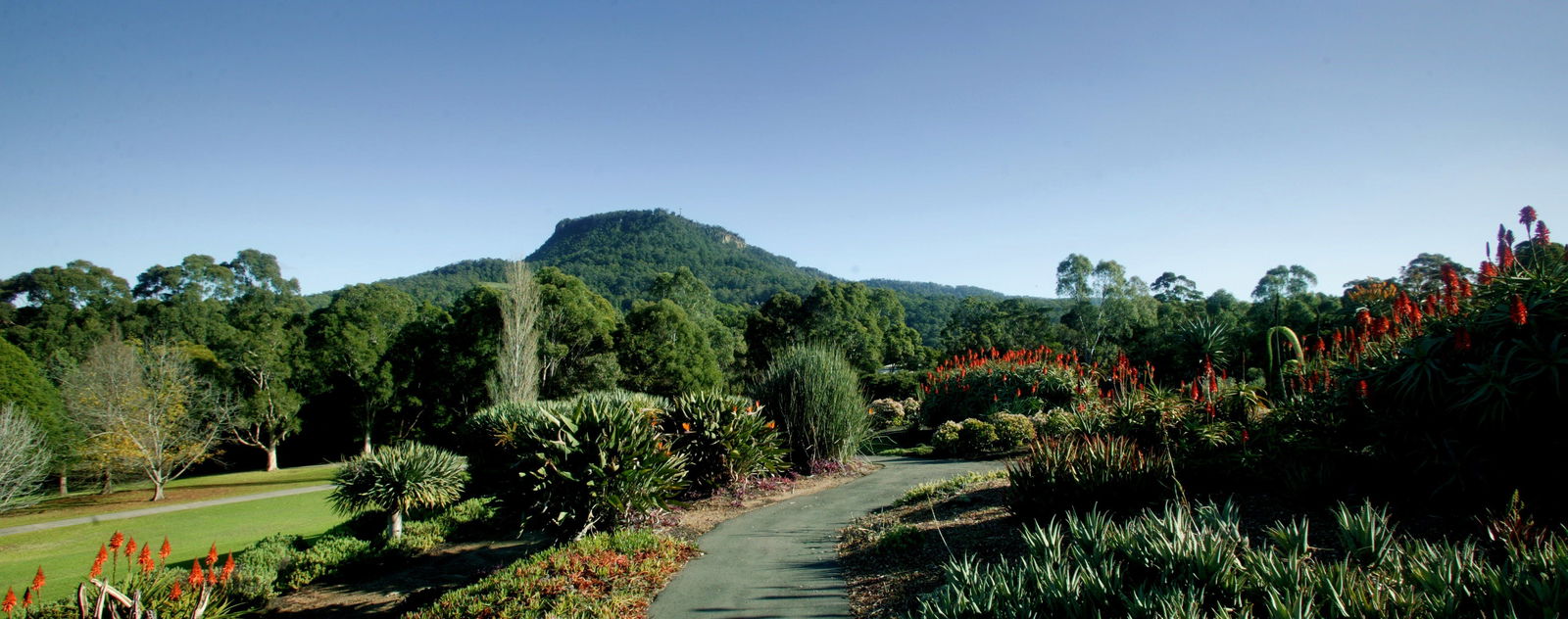 Keiraville NSW Accommodation Mount Tamborine