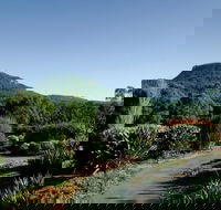 Botanic Garden Wollongong - Accommodation Mount Tamborine