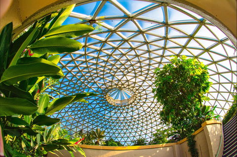 Brisbane Botanic Gardens Mount Coot-tha - Accommodation Mount Tamborine 0