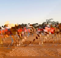 Broken Hill Camels - Accommodation Mount Tamborine