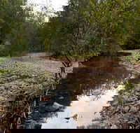 Budawang National Park - Accommodation Mount Tamborine