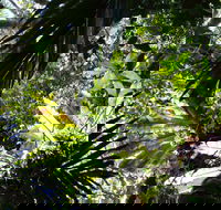 Byrrill Creek Walking Track - Accommodation Mount Tamborine