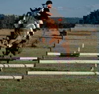 Camden Bicentennial Equestrian Park - Accommodation Mount Tamborine