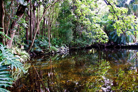 Cascade Gardens - Accommodation Mount Tamborine 2