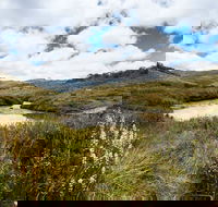 Cascade Hut trail - Accommodation Mount Tamborine