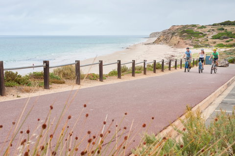 Coast To Vines Rail Trail - Accommodation Mount Tamborine 0