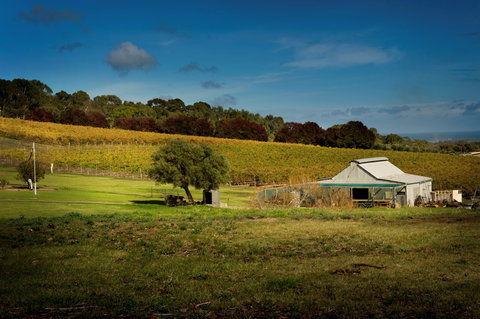 Coast To Vines Rail Trail - Accommodation Mount Tamborine 2