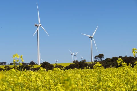 Collgar Wind Farm Merredin - Accommodation Mount Tamborine 1
