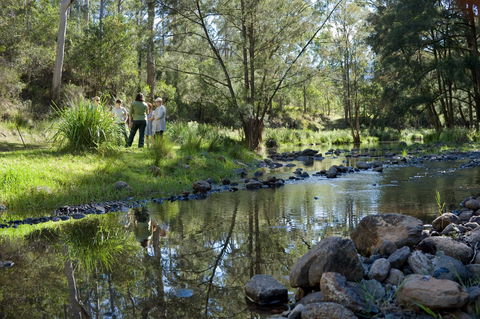 Condamine Gorge '14 River Crossing' - Accommodation Mount Tamborine 0