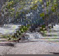 Coolah Tops National Park - Accommodation Mount Tamborine