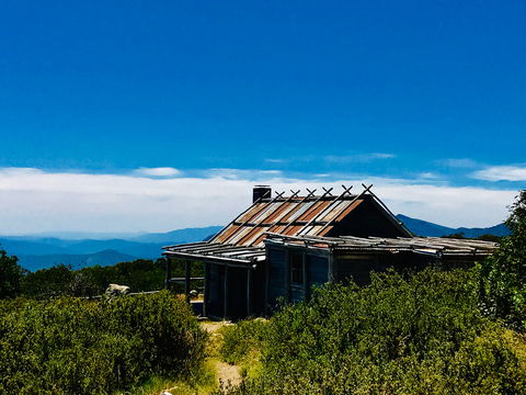 Craig's Hut - Accommodation Mount Tamborine 1